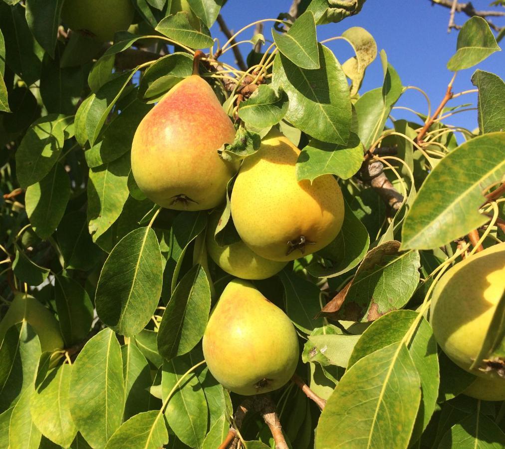 Agriturismo Turudhis Tortolì Eksteriør billede