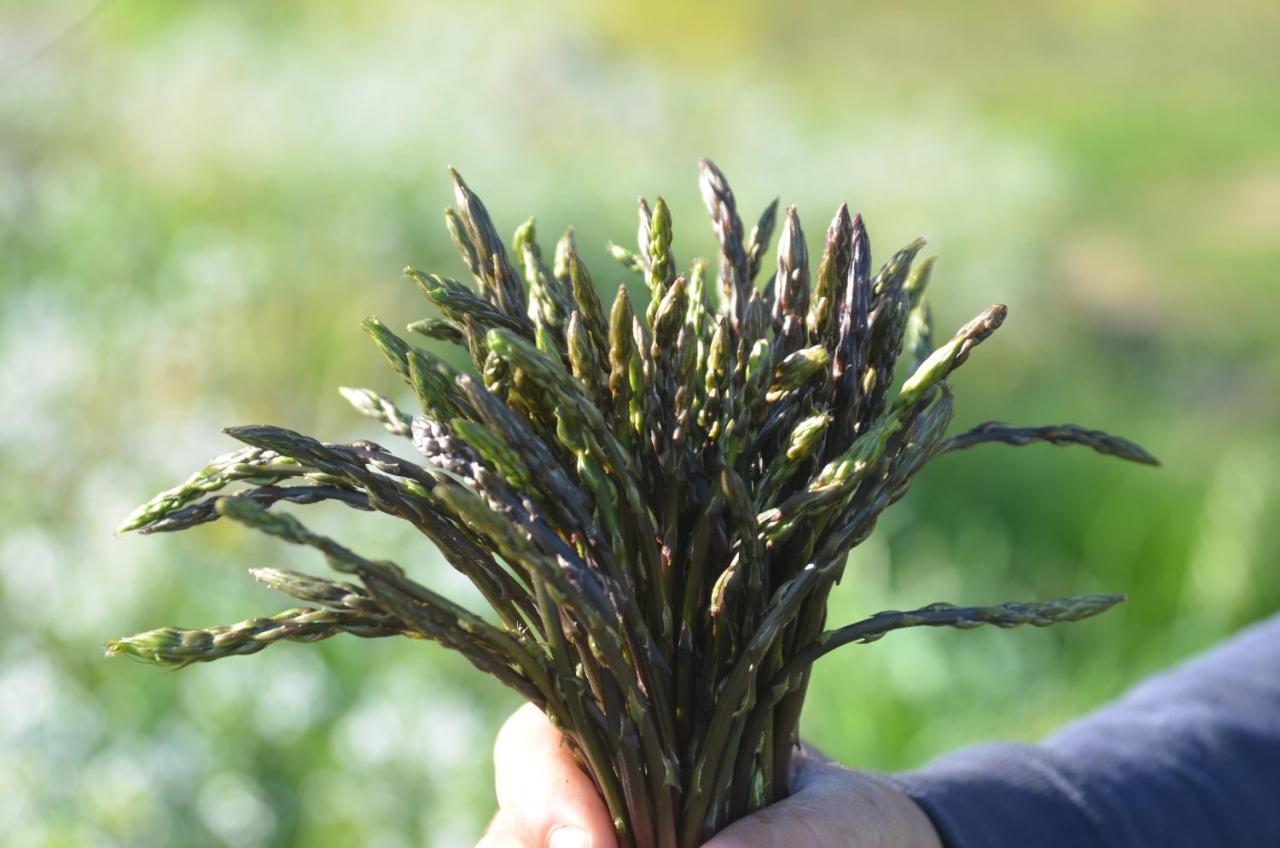 Agriturismo Turudhis Tortolì Eksteriør billede