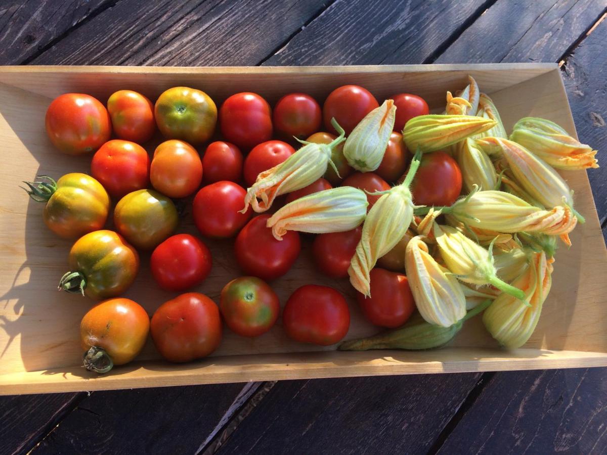 Agriturismo Turudhis Tortolì Eksteriør billede
